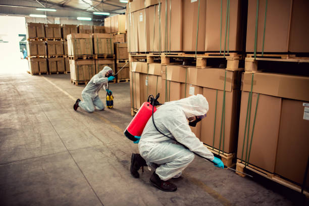 Best Best Pest Control Near Me  in Marionville, MO