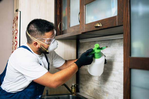 Professional Pest Control in Marionville, MO