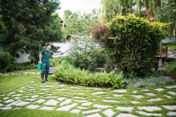 Best Ant Control Services  in Marionville, MO