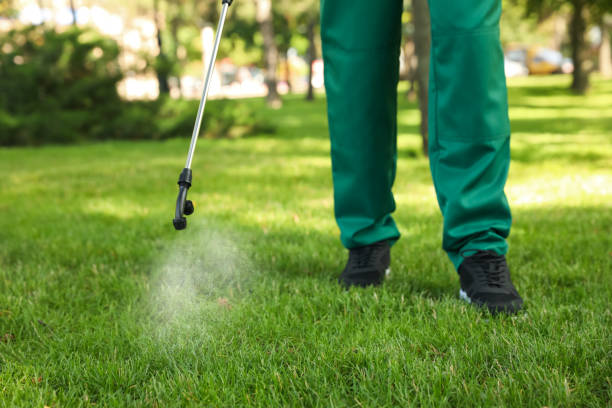 Best Emergency Pest Control  in Marionville, MO