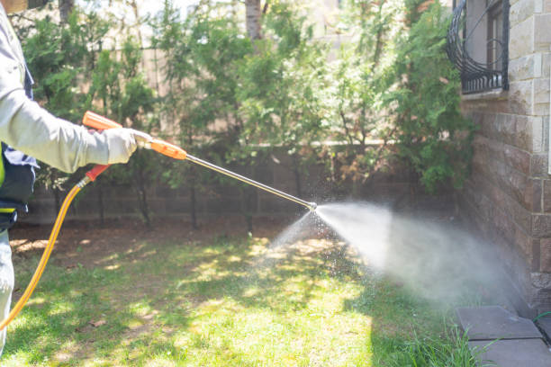 Best Cockroach Control Services  in Marionville, MO
