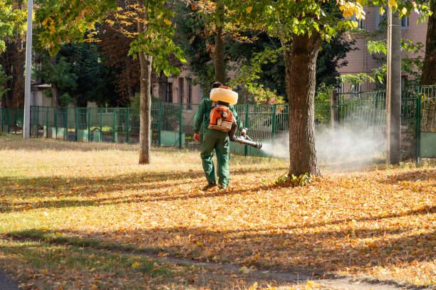 Best Best Pest Control Companies  in Marionville, MO