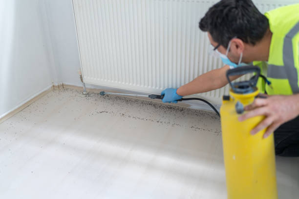 Best Termite Control Services  in Marionville, MO