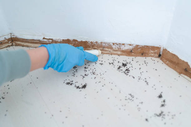 Pest Control Cost in Marionville, MO